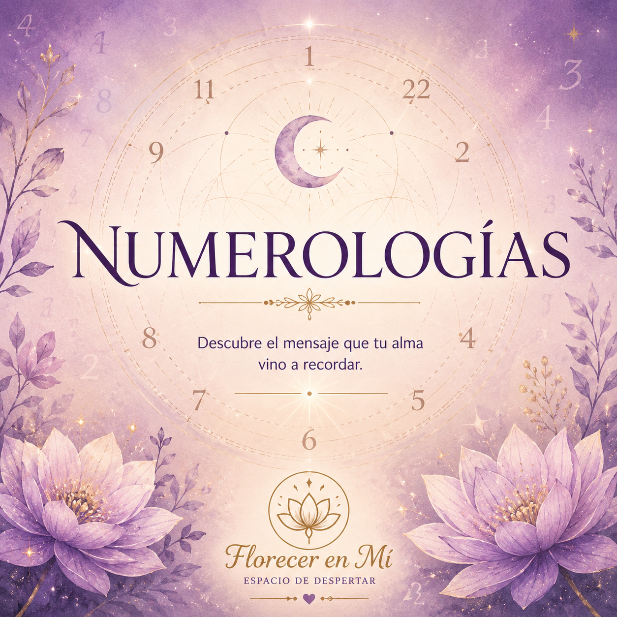 🔢 Numerologías